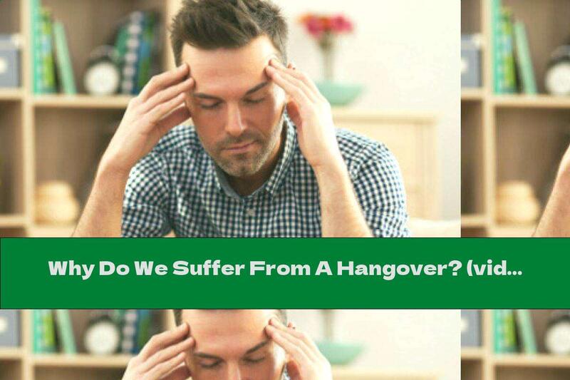 Why Do We Suffer From A Hangover? (video)