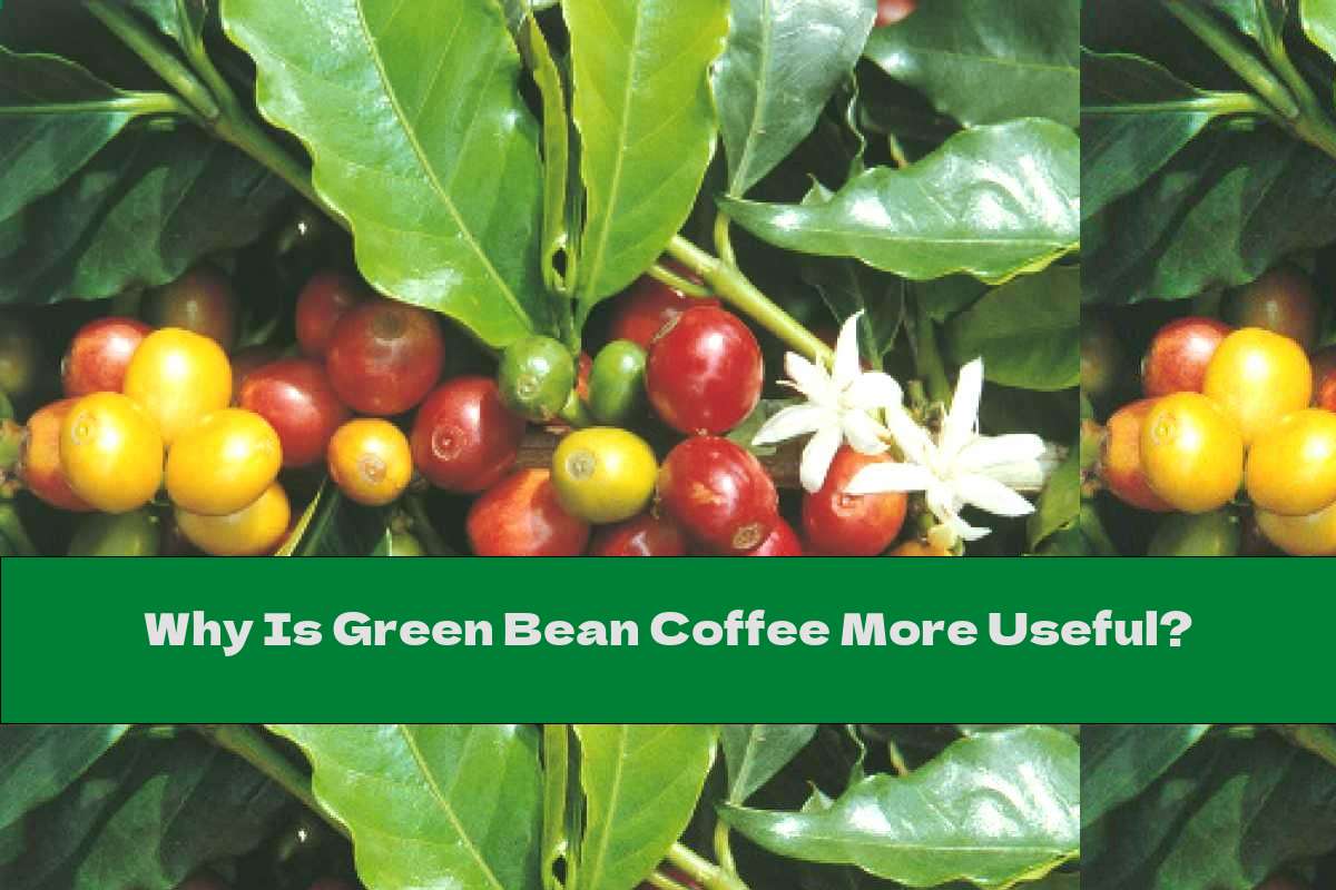 Why Is Green Bean Coffee More Useful?