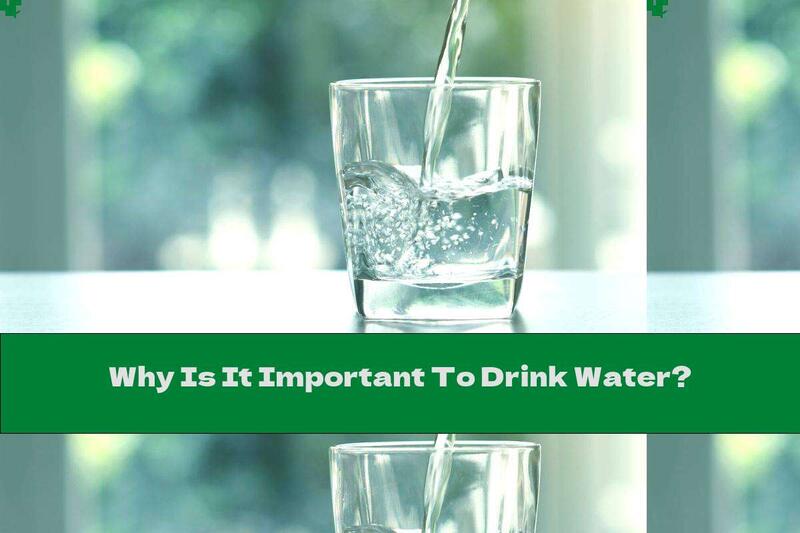 Why Is It Important To Drink Water?