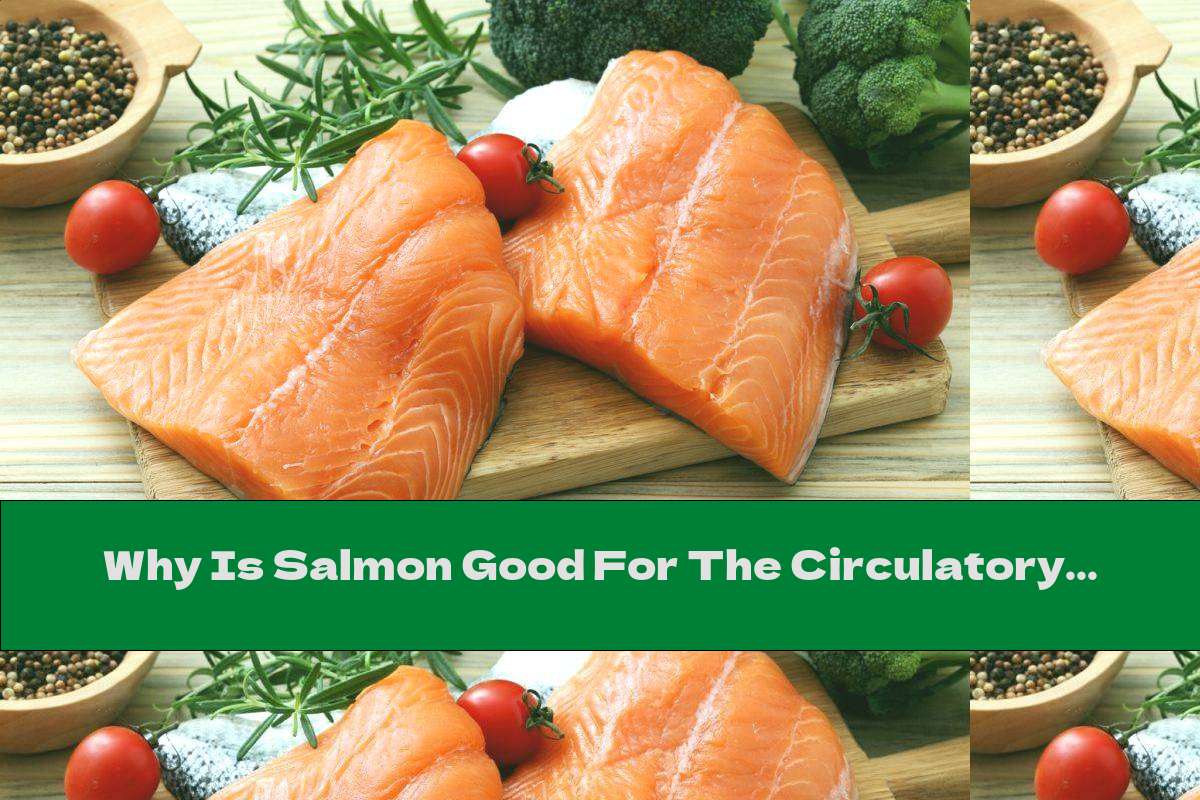 Why Is Salmon Good For The Circulatory System? This Nutrition