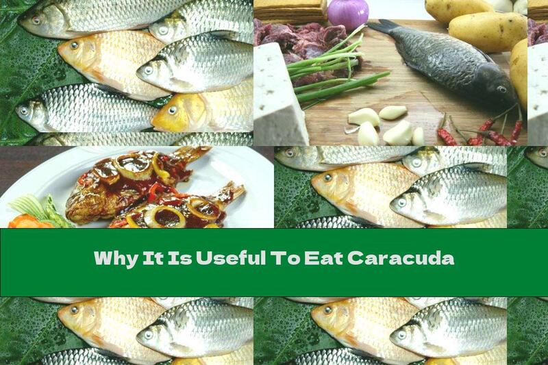 Why It Is Useful To Eat Caracuda