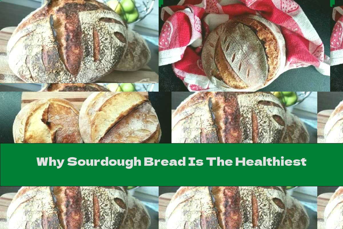 why-sourdough-bread-is-the-healthiest-this-nutrition