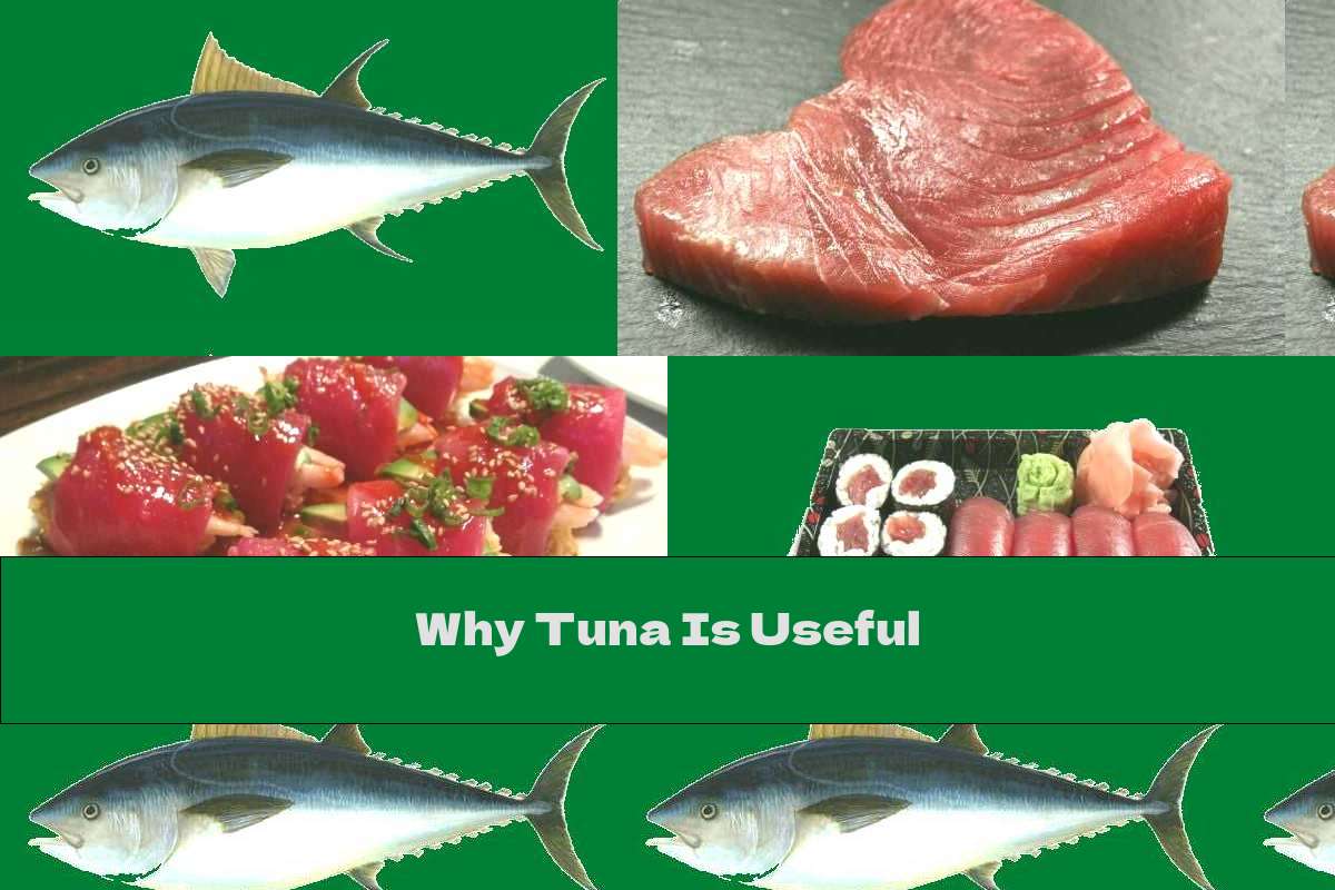Why Tuna Is Useful