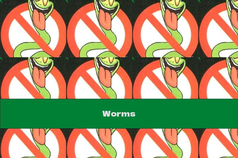 Worms