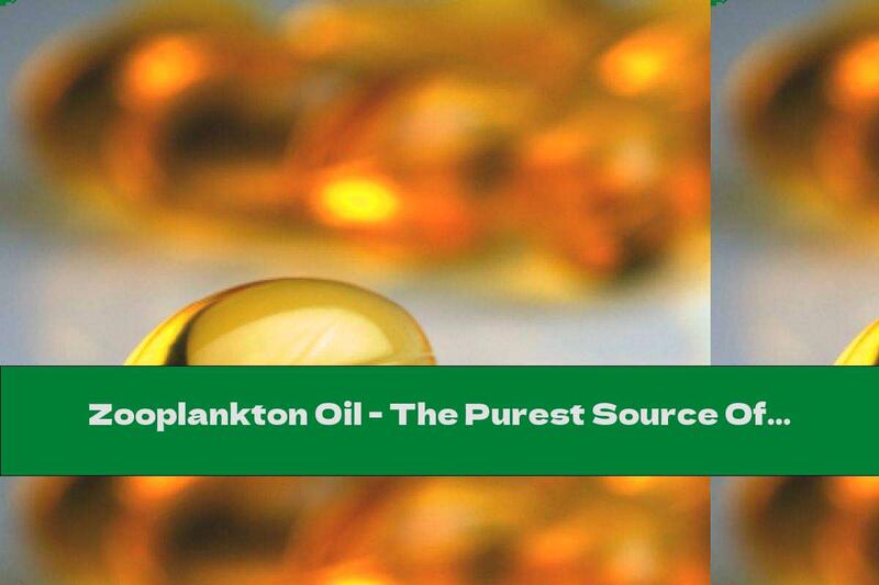 Zooplankton Oil - The Purest Source Of Omega-3